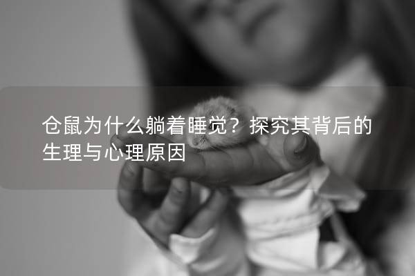 仓鼠为什么躺着睡觉？探究其背后的生理与心理原因
