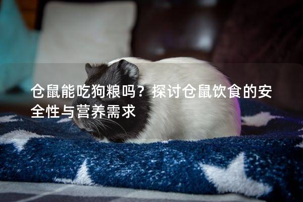 仓鼠能吃狗粮吗？探讨仓鼠饮食的安全性与营养需求
