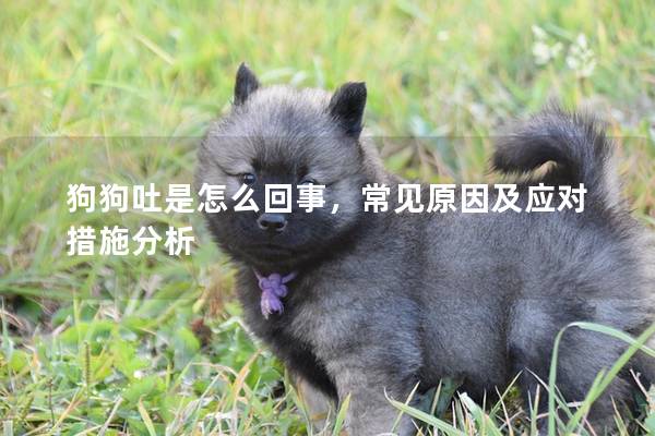 狗狗吐是怎么回事,常见原因及应对措施分析 狗狗吐是怎么回事,常见原因及应对措施分析
