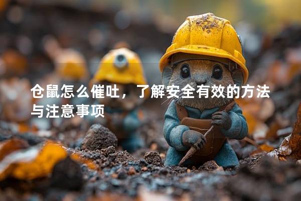 仓鼠怎么催吐，了解安全有效的方法与注意事项