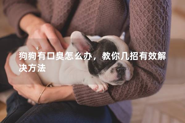 狗狗有口臭怎么办，教你几招有效解决方法