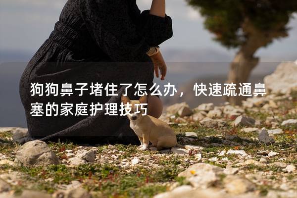 狗狗鼻子堵住了怎么办,快速疏通鼻塞的家庭护理技巧 狗狗鼻子堵住了怎么办,快速疏通鼻塞的家庭护理技巧