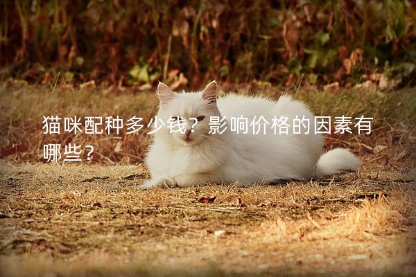 猫咪配种多少钱?影响价格的因素有哪些? 猫咪配种多少钱?影响价格的因素有哪些?