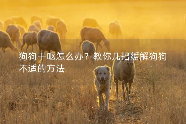 狗狗干呕怎么办？教你几招缓解狗狗不适的方法