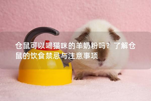 仓鼠可以喝猫咪的羊奶粉吗？了解仓鼠的饮食禁忌与注意事项