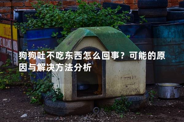 狗狗吐不吃东西怎么回事?可能的原因与解决方法分析 狗狗吐不吃东西怎么回事?可能的原因与解决方法分析