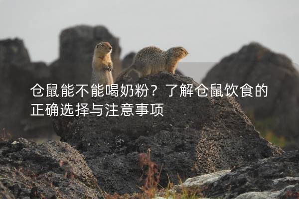 仓鼠能不能喝奶粉？了解仓鼠饮食的正确选择与注意事项