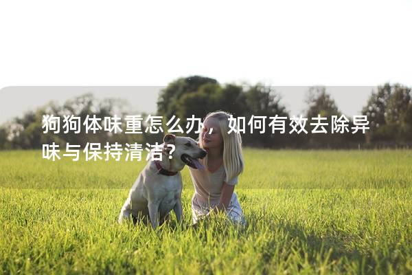 狗狗体味重怎么办，如何有效去除异味与保持清洁？
