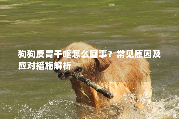 狗狗反胃干呕怎么回事？常见原因及应对措施解析
