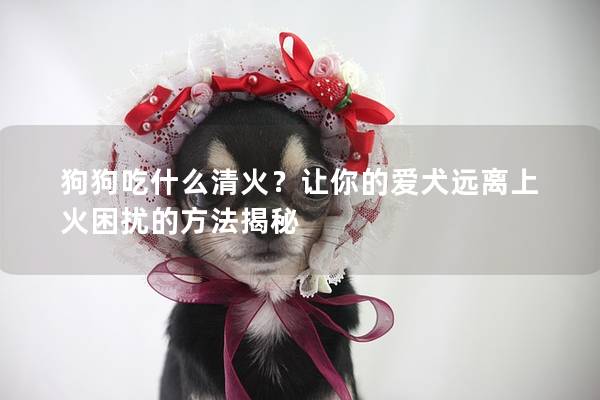 狗狗吃什么清火？让你的爱犬远离上火困扰的方法揭秘