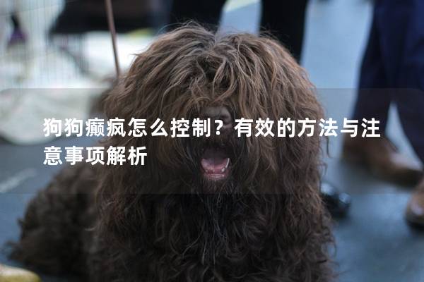 狗狗癫疯怎么控制？有效的方法与注意事项解析