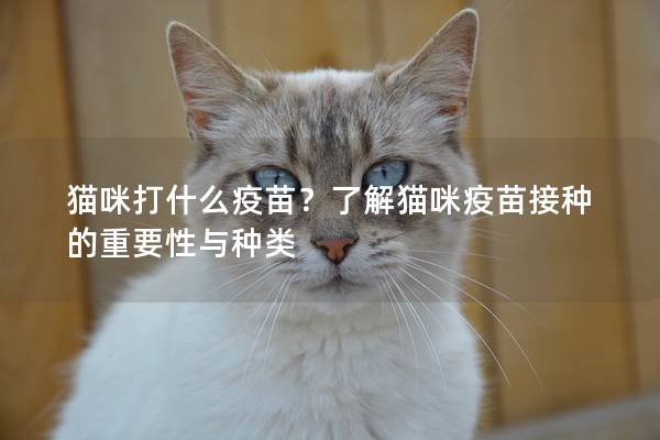 猫咪打什么疫苗?了解猫咪疫苗接种的重要性与种类 猫咪打什么疫苗?了解猫咪疫苗接种的重要性与种类
