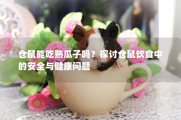 仓鼠能吃熟瓜子吗？探讨仓鼠饮食中的安全与健康问题