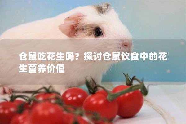 仓鼠吃花生吗？探讨仓鼠饮食中的花生营养价值