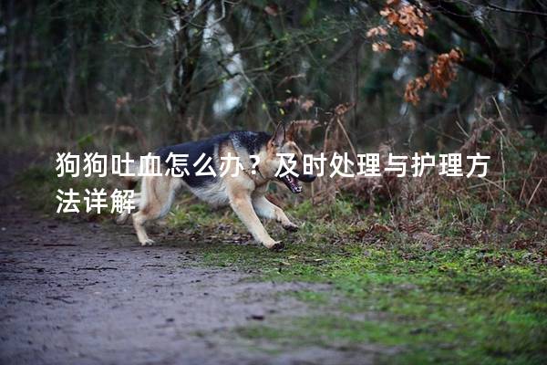 狗狗吐血怎么办？及时处理与护理方法详解