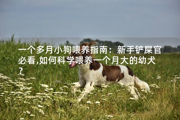 一个多月小狗喂养指南:新手铲屎官必看,如何科学喂养一个月大的幼犬? 一个多月小狗喂养指南:新手铲屎官必看,如何科学喂养一个月大的幼犬?