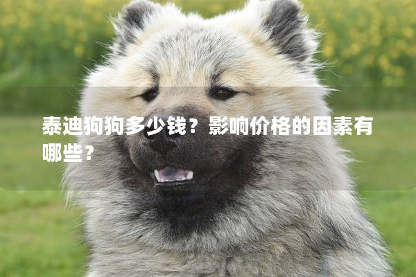 泰迪狗狗多少钱?影响价格的因素有哪些? 泰迪狗狗多少钱?影响价格的因素有哪些?