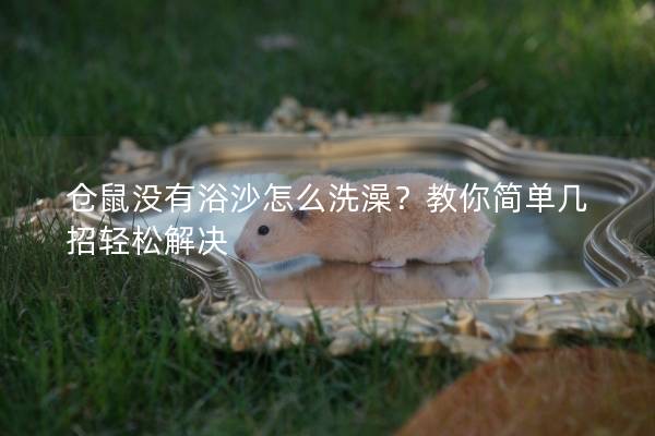 仓鼠没有浴沙怎么洗澡?教你简单几招轻松解决 仓鼠没有浴沙怎么洗澡?教你简单几招轻松解决