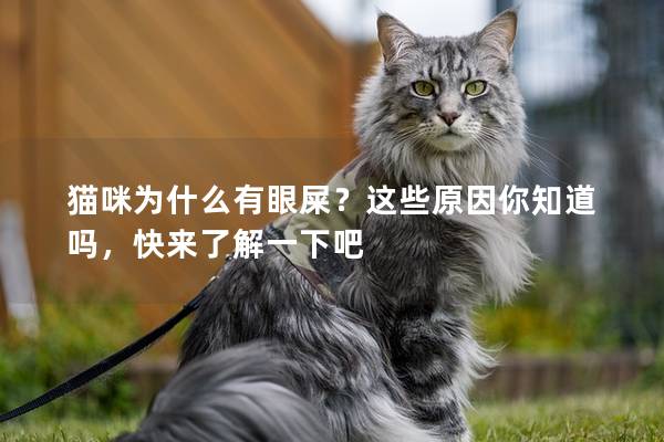 猫咪为什么有眼屎?这些原因你知道吗,快来了解一下吧 猫咪为什么有眼屎?这些原因你知道吗,快来了解一下吧