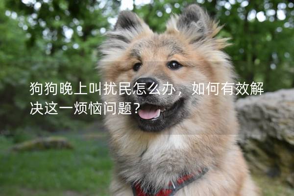 狗狗晚上叫扰民怎么办，如何有效解决这一烦恼问题？