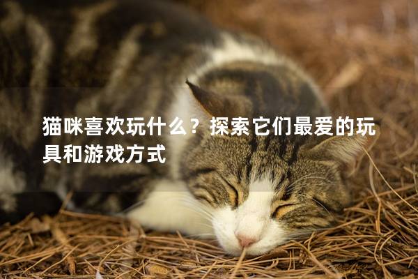 猫咪喜欢玩什么?探索它们最爱的玩具和游戏方式 猫咪喜欢玩什么?探索它们最爱的玩具和游戏方式