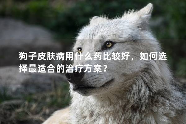 狗子皮肤病用什么药比较好,如何选择最适合的治疗方案? 狗子皮肤病用什么药比较好,如何选择最适合的治疗方案?