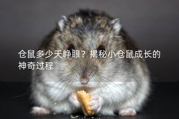 仓鼠多少天睁眼？揭秘小仓鼠成长的神奇过程