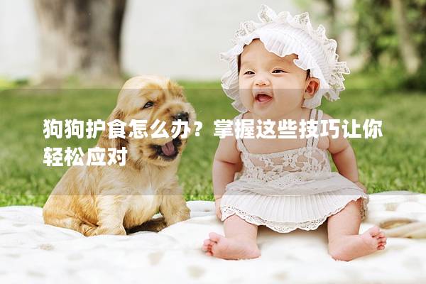 狗狗护食怎么办？掌握这些技巧让你轻松应对