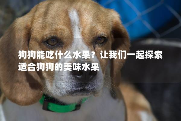 狗狗能吃什么水果？让我们一起探索适合狗狗的美味水果