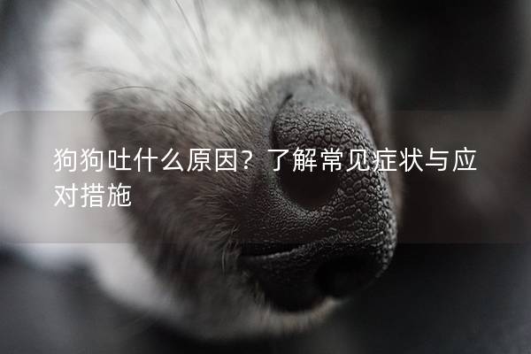 狗狗吐什么原因？了解常见症状与应对措施
