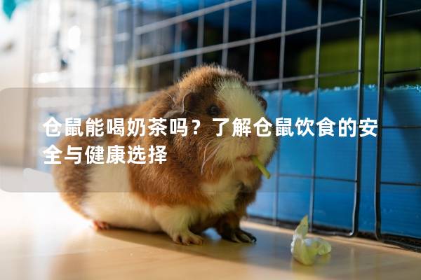 仓鼠能喝奶茶吗？了解仓鼠饮食的安全与健康选择