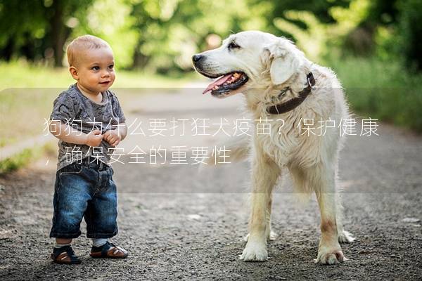 狗狗为什么要打狂犬疫苗？保护健康，确保安全的重要性