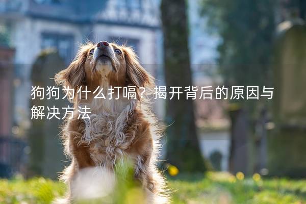 狗狗为什么打嗝？揭开背后的原因与解决方法