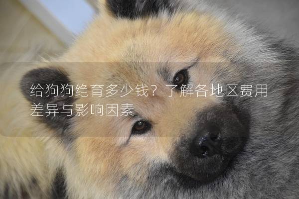 给狗狗绝育多少钱？了解各地区费用差异与影响因素