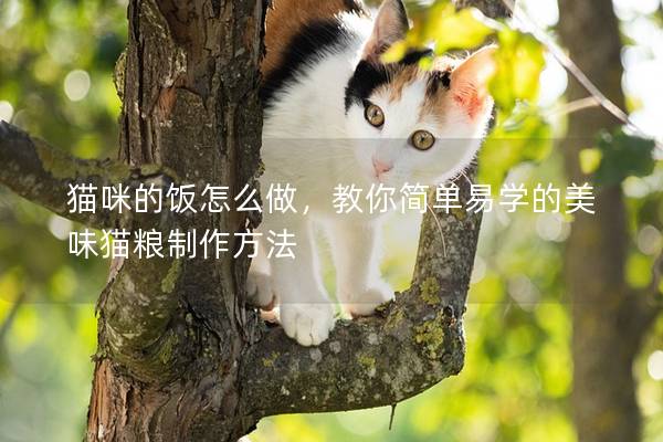 猫咪的饭怎么做，教你简单易学的美味猫粮制作方法