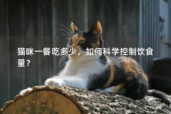 猫咪一餐吃多少,如何科学控制饮食量? 猫咪一餐吃多少,如何科学控制饮食量?