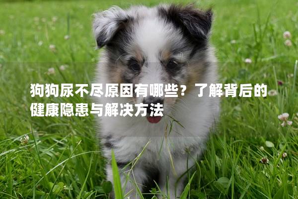 狗狗尿不尽原因有哪些？了解背后的健康隐患与解决方法