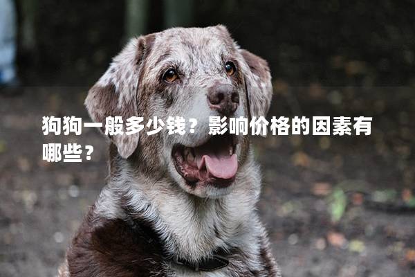 狗狗一般多少钱?影响价格的因素有哪些? 狗狗一般多少钱?影响价格的因素有哪些?