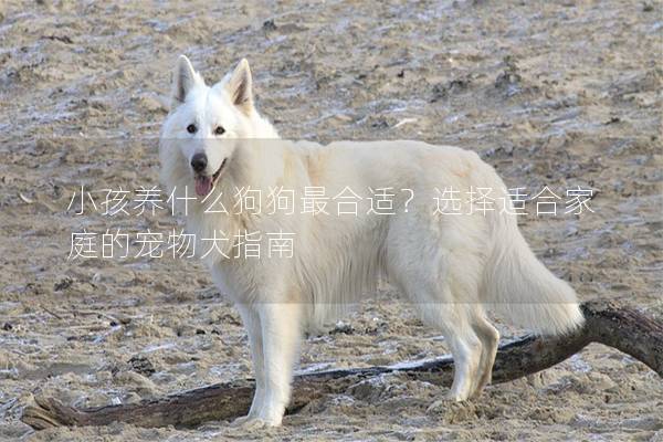 小孩养什么狗狗最合适?选择适合家庭的宠物犬指南 小孩养什么狗狗最合适?选择适合家庭的宠物犬指南