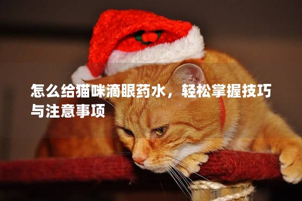 怎么给猫咪滴眼药水，轻松掌握技巧与注意事项