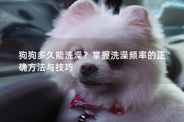狗狗多久能洗澡？掌握洗澡频率的正确方法与技巧