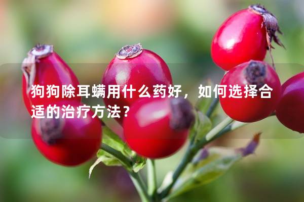 狗狗除耳螨用什么药好，如何选择合适的治疗方法？