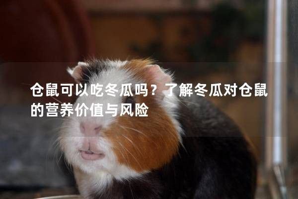 仓鼠可以吃冬瓜吗？了解冬瓜对仓鼠的营养价值与风险
