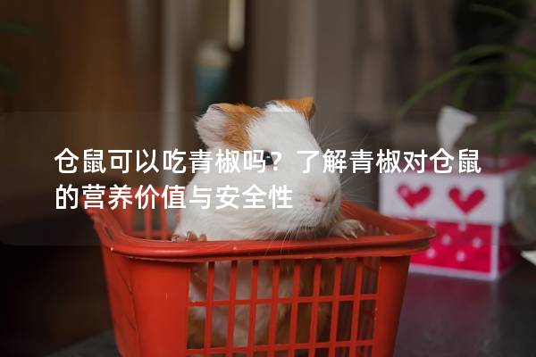 仓鼠可以吃青椒吗？了解青椒对仓鼠的营养价值与安全性