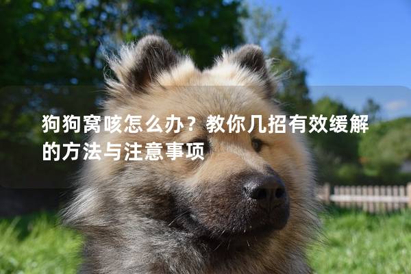 狗狗窝咳怎么办?教你几招有效缓解的方法与注意事项 狗狗窝咳怎么办?教你几招有效缓解的方法与注意事项
