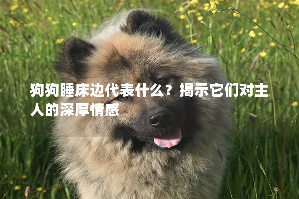 狗狗睡床边代表什么？揭示它们对主人的深厚情感