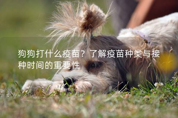 狗狗打什么疫苗?了解疫苗种类与接种时间的重要性 狗狗打什么疫苗?了解疫苗种类与接种时间的重要性