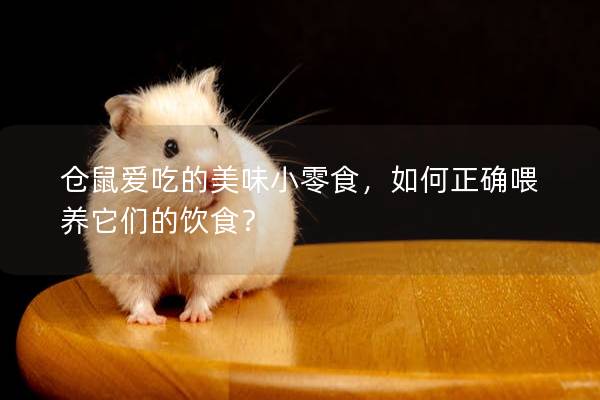 仓鼠爱吃的美味小零食，如何正确喂养它们的饮食？