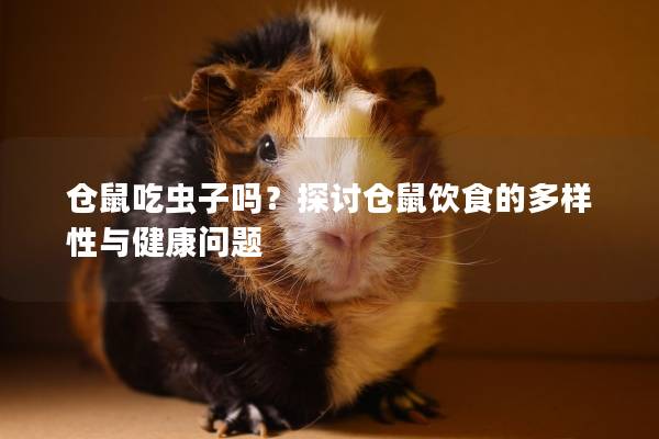 仓鼠吃虫子吗?探讨仓鼠饮食的多样性与健康问题 仓鼠吃虫子吗?探讨仓鼠饮食的多样性与健康问题