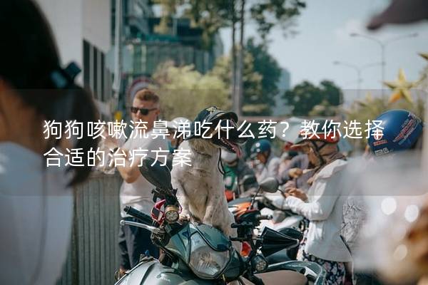 狗狗咳嗽流鼻涕吃什么药?教你选择合适的治疗方案 狗狗咳嗽流鼻涕吃什么药?教你选择合适的治疗方案